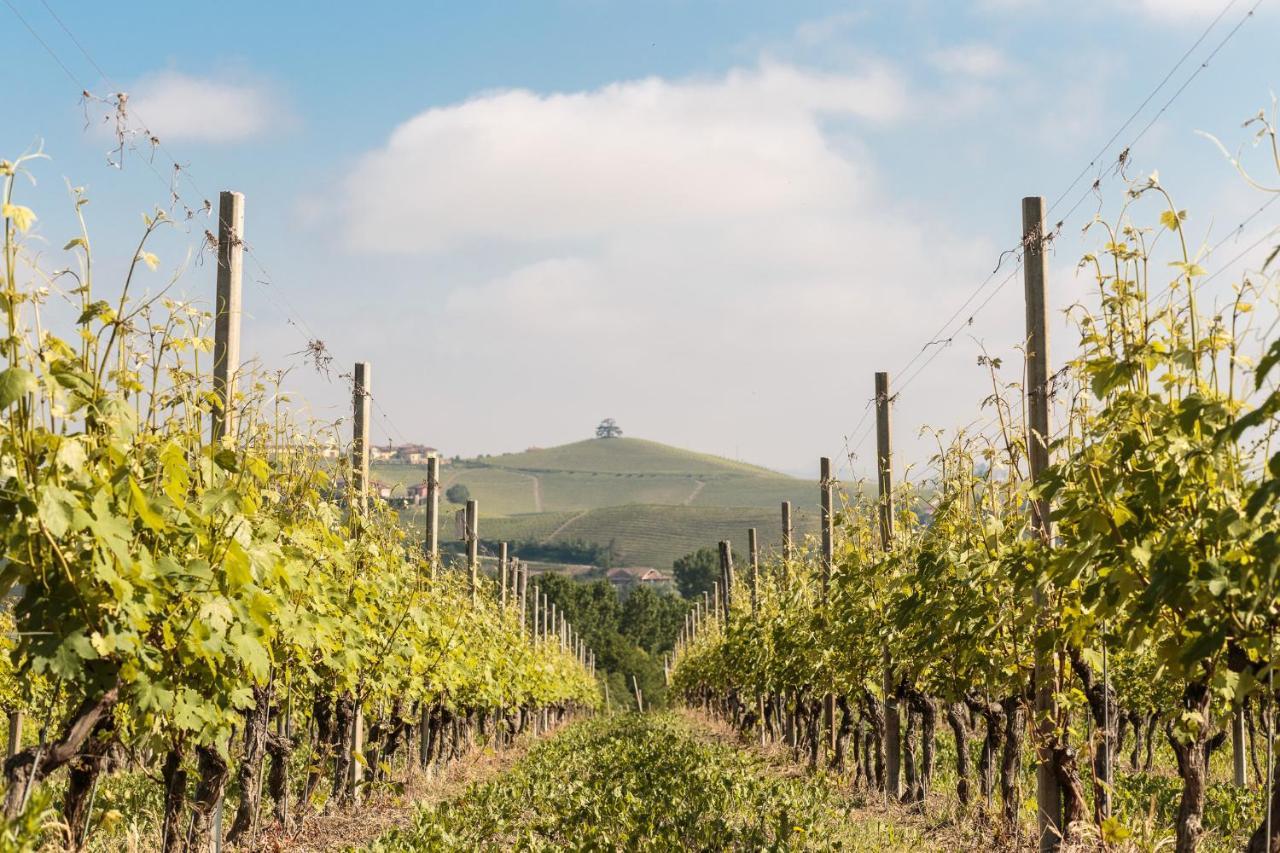 Cascina Pugnane *